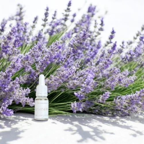Essentiële olie van lavendel